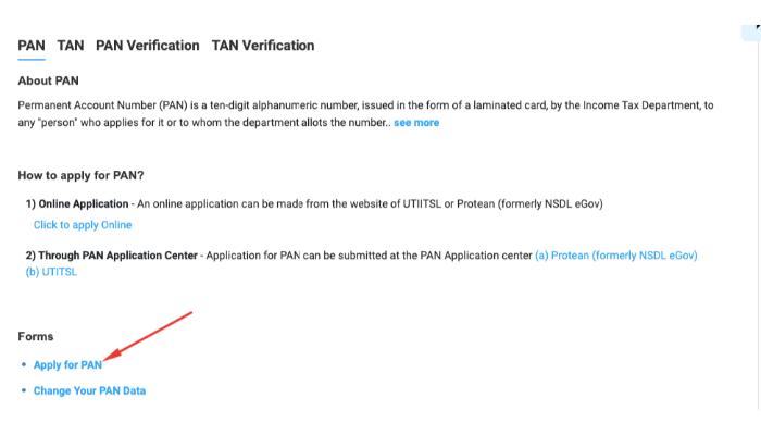 Click Apply for PAN