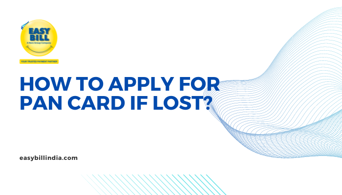 How to Apply for Pan Card if Lost